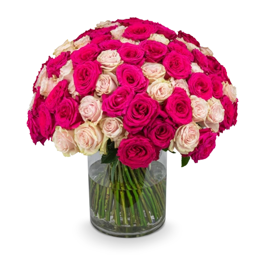 Bouquet od pink roses